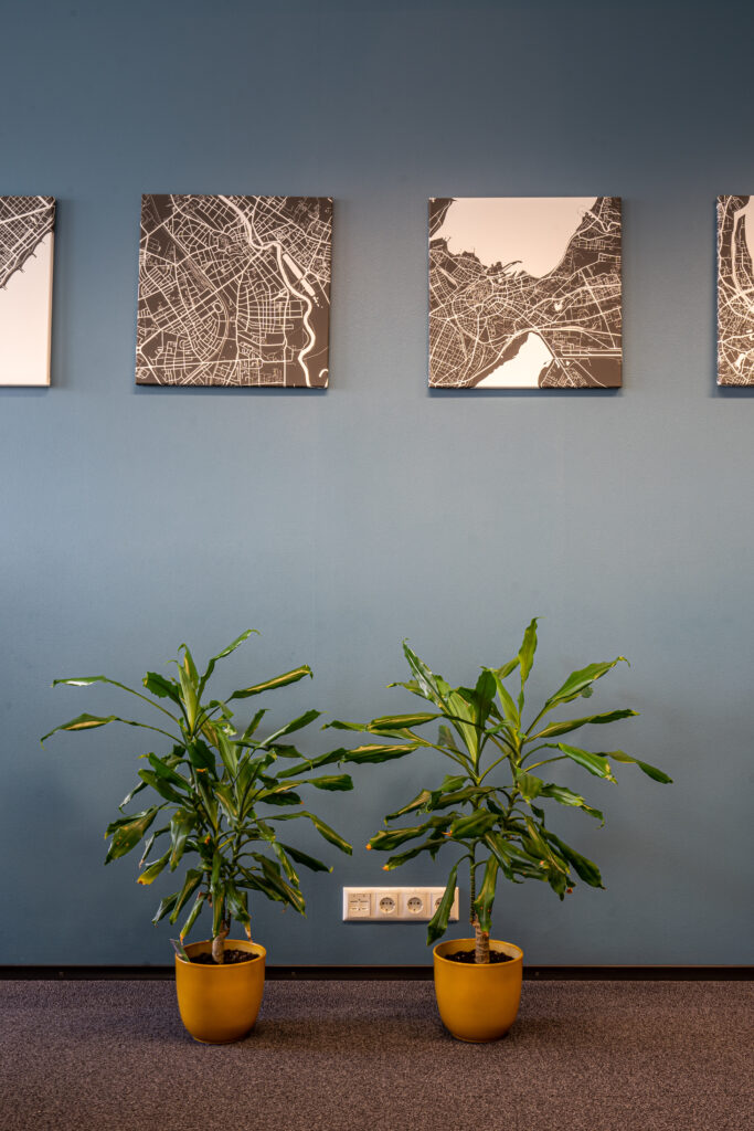 Seinapildid ja toataimed