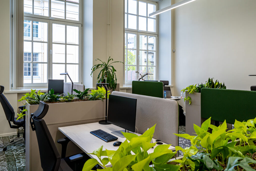 Avar ja valgusküllane kontor avatud töökohtade, roheliste vaheseinte ja rohkete taimede vahel