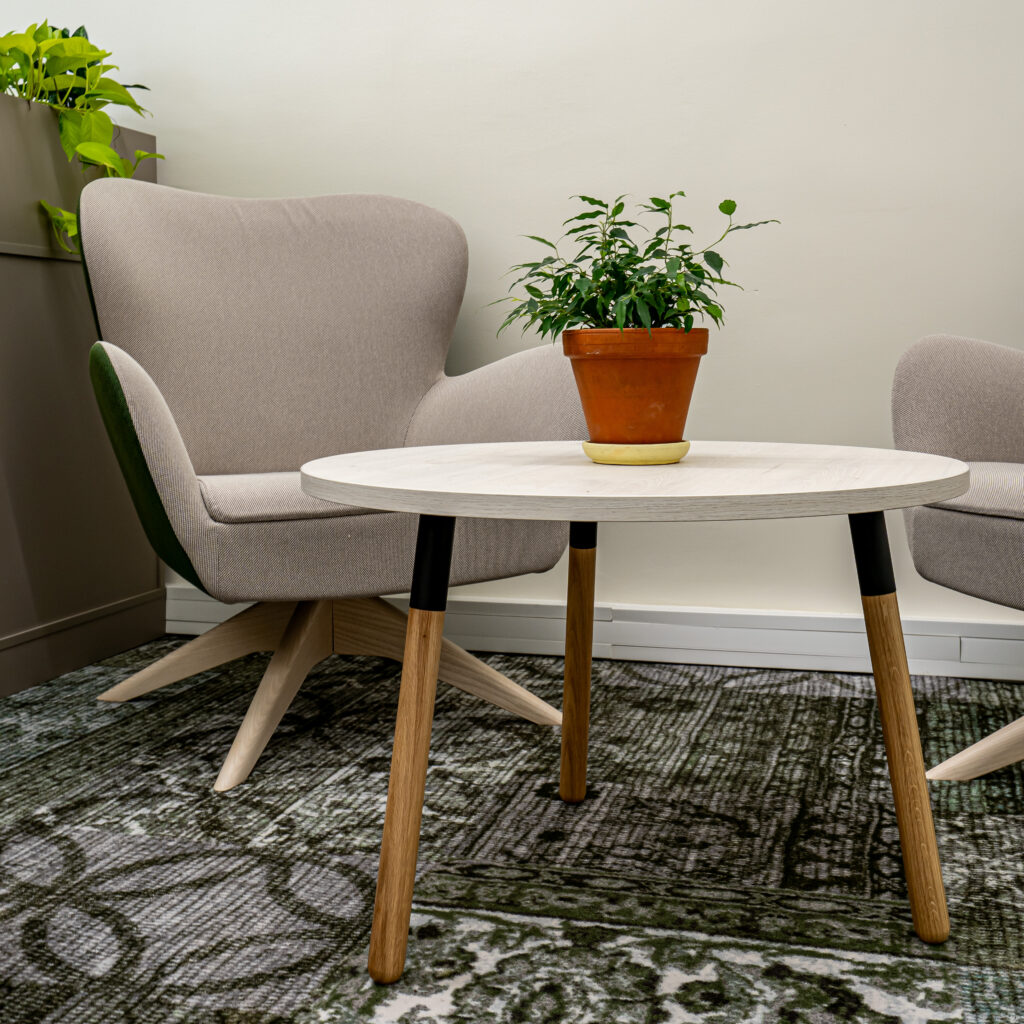 Hubane puhkenurk kahes tugitoolis ja madala lauaga, millel on väike potitaim