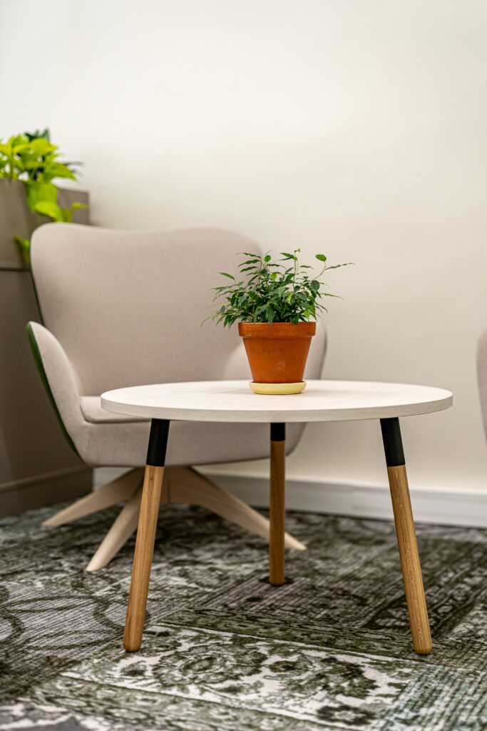 Väike ümar laud toataimega, taustal hele tugitool puhkenurgas
