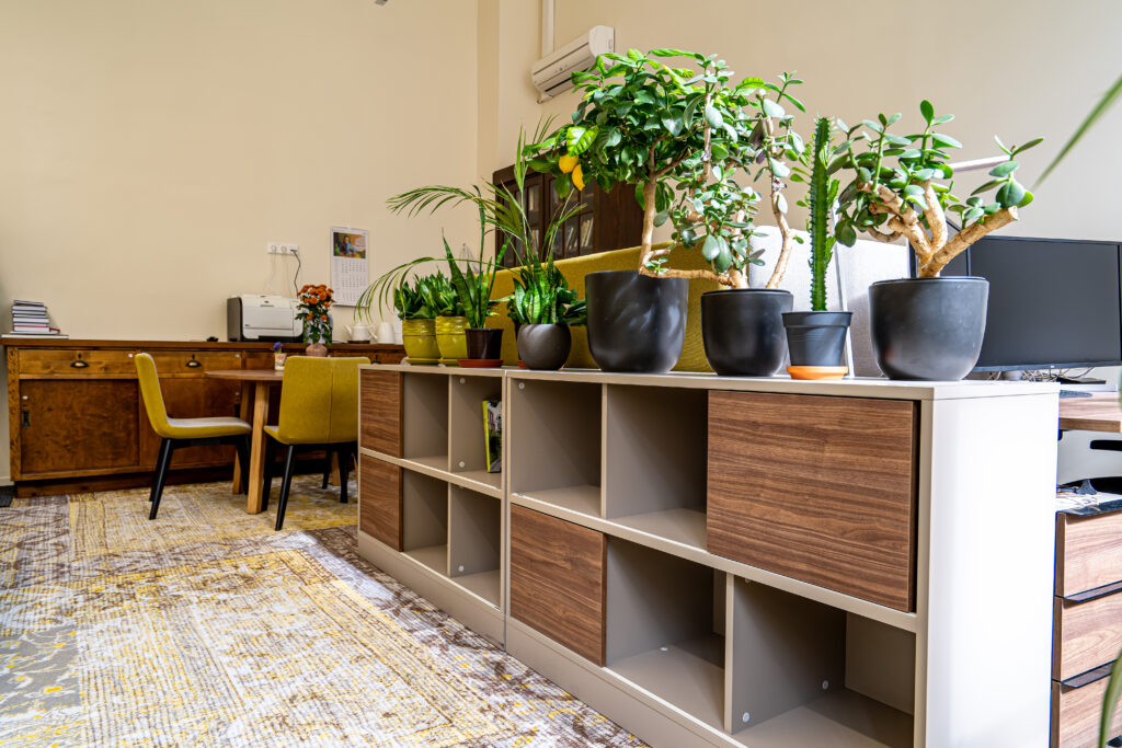 Stiilne riiul koos taimedega