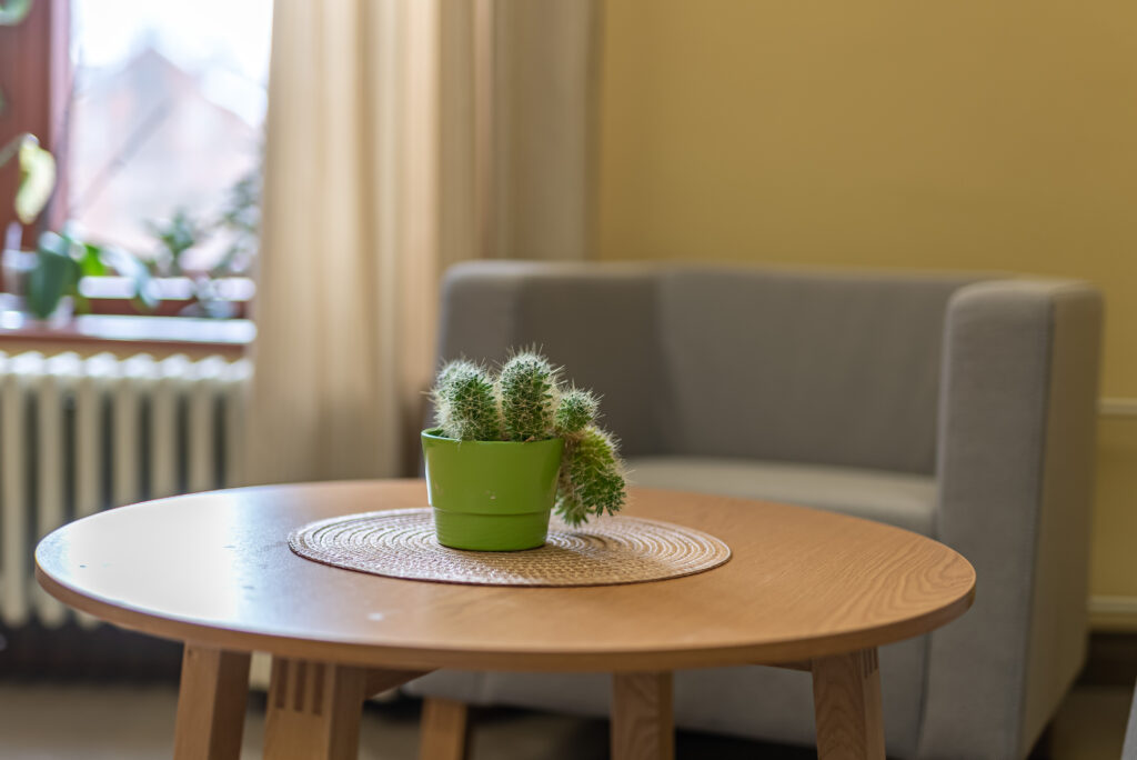 Väike kaktus rohelises potis puidust laual hubases puhkenurgas