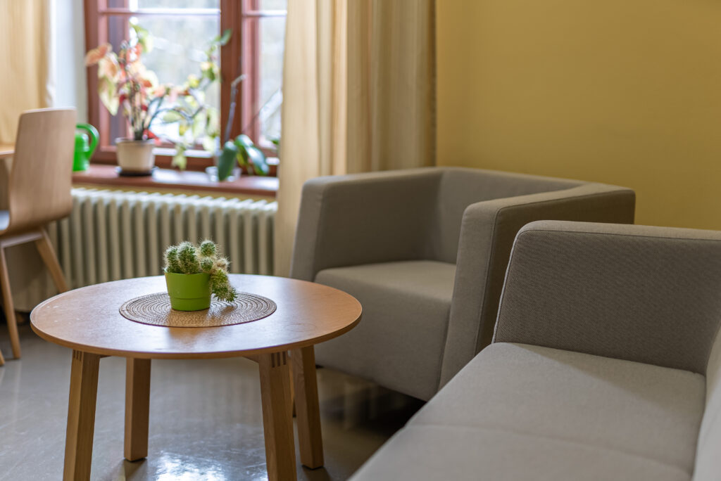 Hubane puhkenurk kaktuse, hallide tugitoolide ja suurte akende taustal