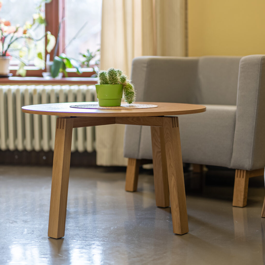 Väike ümar puidust laud kaktusega, mille taustal hall tugitool ja aknast langev soe valgus