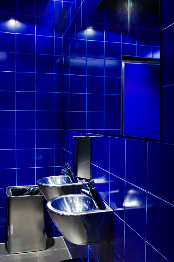 Siniste plaatidega WC-ala